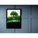 Quadro Poster Star Wars 4429