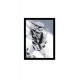 Quadro Poster Star Wars 4447