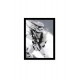 Quadro Poster Star Wars 4489