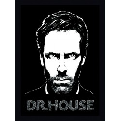 Quadro Poster Doctor House 4600