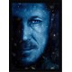 Quadro Poster Game Of Thrones 4616