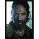 Quadro Poster The Walking Dead 4664
