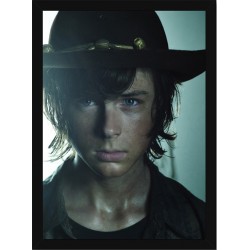 Quadro Poster The Walking Dead 4668