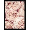 Quadro Poster Flores 4688