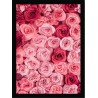 Quadro Poster Flores 4695