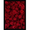 Quadro Poster Flores 4696