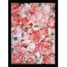 Quadro Poster Flores 4700