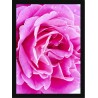 Quadro Poster Flores 4704