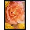 Quadro Poster Flores 4705