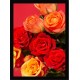 Quadro Poster Flores 4706