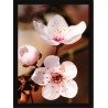 Quadro Poster Flores 4708