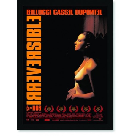 Quadro Poster Cinema Filme Irreversible