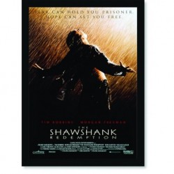 Quadro Poster Cinema Filme Shawshank