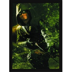 Quadro Poster Herois Arqueiro Verde 5411