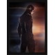 Quadro Poster Herois Flash 5445