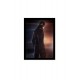 Quadro Poster Herois Flash 5445