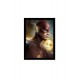 Quadro Poster Herois Flash 5446