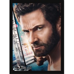Quadro Poster Herois Wolverine 5811