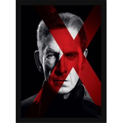 Quadro Poster Herois Xmen 5821