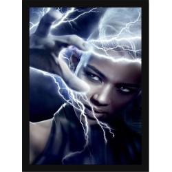 Quadro Poster Herois Xmen 5825