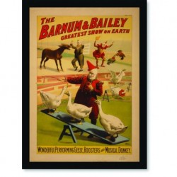 Quadro Poster Cinema The Barnum & Bailey
