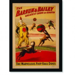 Quadro Poster Cinema The Barnum & Bailey Dogs