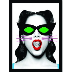 Quadro Poster Grandes Nomes da Musica Anitta 6243