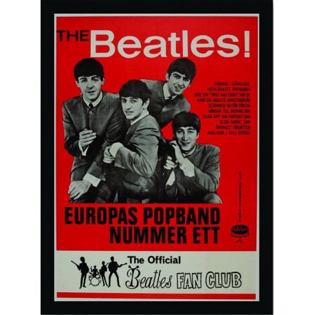 Quadro Poster Grandes Nomes da Musica Beatles 6260