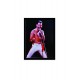 Quadro Poster Grandes Nomes da Musica Fred Mercury 6273