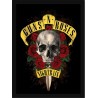 Quadro Poster Grandes Nomes da Musica Guns N Roses 6276