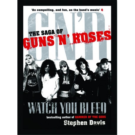 Quadro Poster Grandes Nomes da Musica Guns N Roses 6278