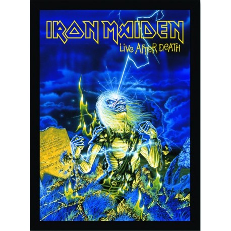 Quadro Poster Grandes Nomes da Musica Iron Maiden 6286