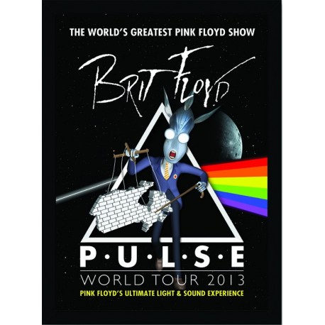 Quadro Poster Grandes Nomes da Musica Pink Floyd 6319