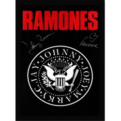 Quadro Poster Grandes Nomes da Musica Ramones 6323