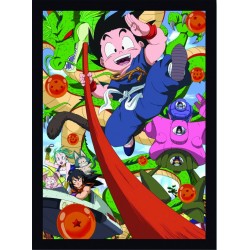 Quadro Poster Cinema Dragon Ball 6822