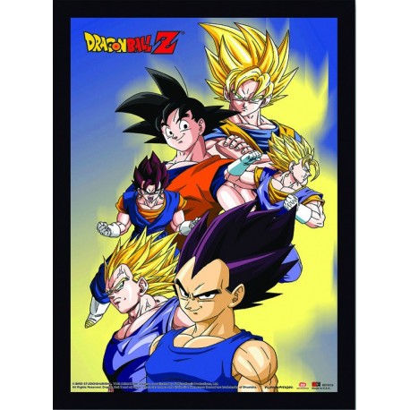 Quadro Poster Cinema Dragon Ball 6824