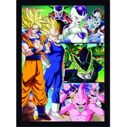 Quadro Poster Cinema Dragon Ball 6827