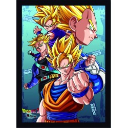 Quadro Poster Cinema Dragon Ball 6832