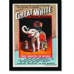 Quadro Poster Propaganda Great White Sewing Machine