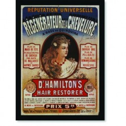 Quadro Poster Propaganda Dr Hamiltons Hair Restorer