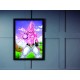 Quadro Poster Art Digital Dragon Ball 7064