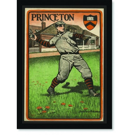 Quadro Poster Esportes Princeton