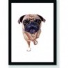 Quadro Poster Pop Art Bulldog Frances