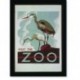 Quadro Poster Natureza Visit the Zoo