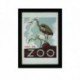 Quadro Poster Natureza Visit the Zoo