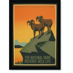 Quadro Poster Natureza The National Parks