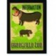 Quadro Poster Natureza Brookfield Zoo Information