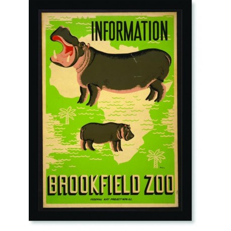 Quadro Poster Natureza Brookfield Zoo Information