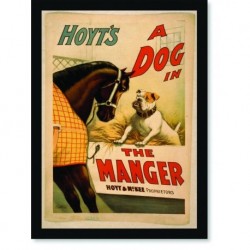 Quadro Poster Natureza Hoyts a Dog In The Manger