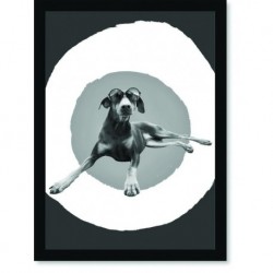 Quadro Poster Pop Art Cachorro de Touca